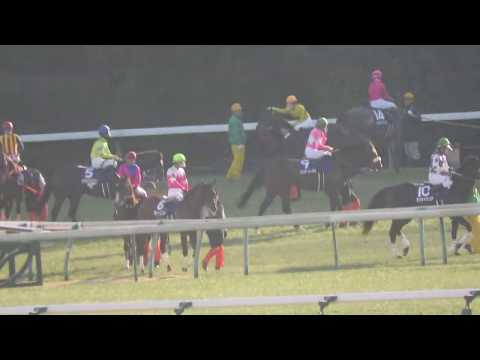【GⅠファンファーレ ‐東京‐】第36回フェブラリーステークス｜勝ち馬：インティ