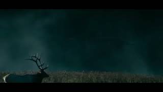 Prey 2 Trailer 2024 Preyii Official Trailer