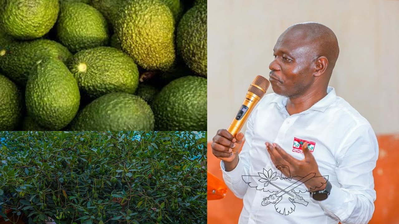 Ivoka turima mu Burundi nizo zikenewe? Umviriza Ferdinand Habimana arongoye CNDD-FDD/Butanyerera