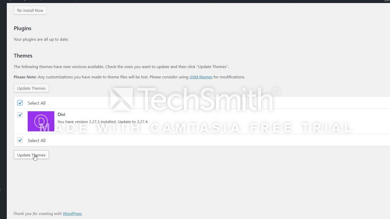 DIVI vs Webserver Latency Issues - Example 4 Updating Plugins and Themes