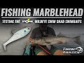 Testing The STORM WildEye Swim Shad Swimbaits mp3
