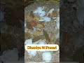Krishna janmashtami Puja ||♥️♥️♥️||#shorts||