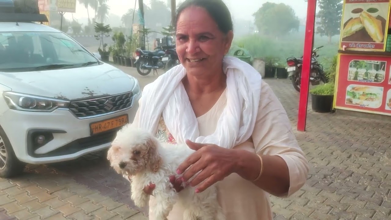 Tai pahunchi Muzaffarnagar 🗾🙏🛕🐛🪱🎎💥