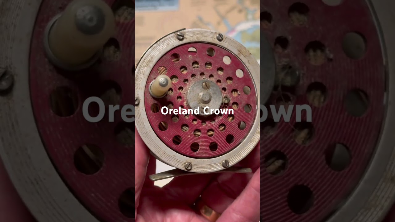 best tackle box for carrying miniatures Guide Series™ Tray SKU:TI130A Tour of My New ready for any expedition. Gear Ratio_5.6:1