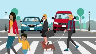 Full Pedestrian/Bike Safety (30 Seconds) News