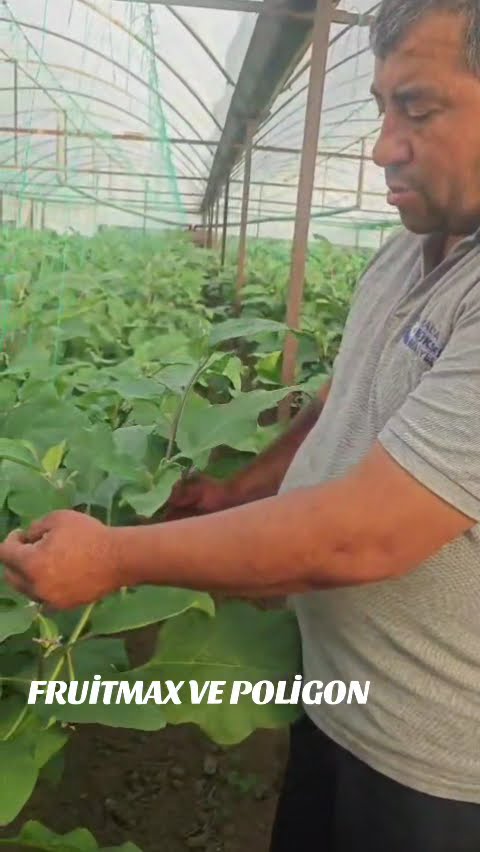 YouTube video kapağı