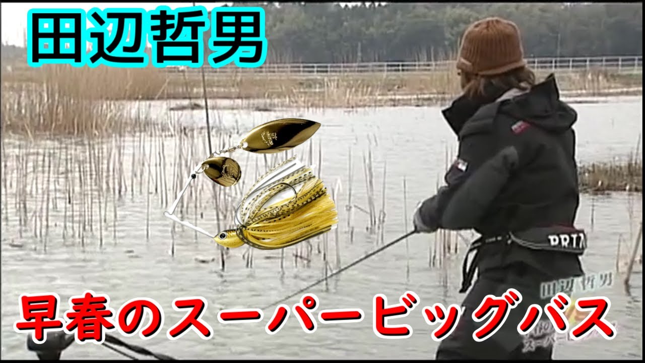 早春のスーパービッグバス 田辺哲男