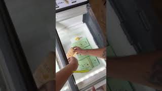 Have You Tried Avocado Popstickles