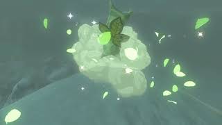 Korok seeds | Hebra West Summit | Hebra Tower #63-#64 | Zelda BOTW