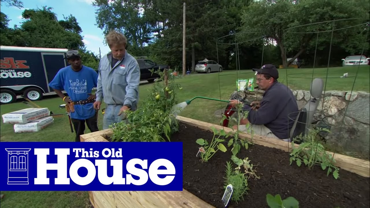 Gardening - This Old House