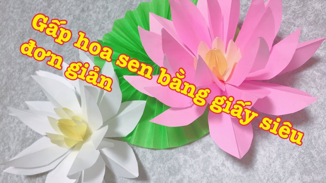 Gấp hoa sen bằng giấy cực kỳ đơn giản, hiệu quả
