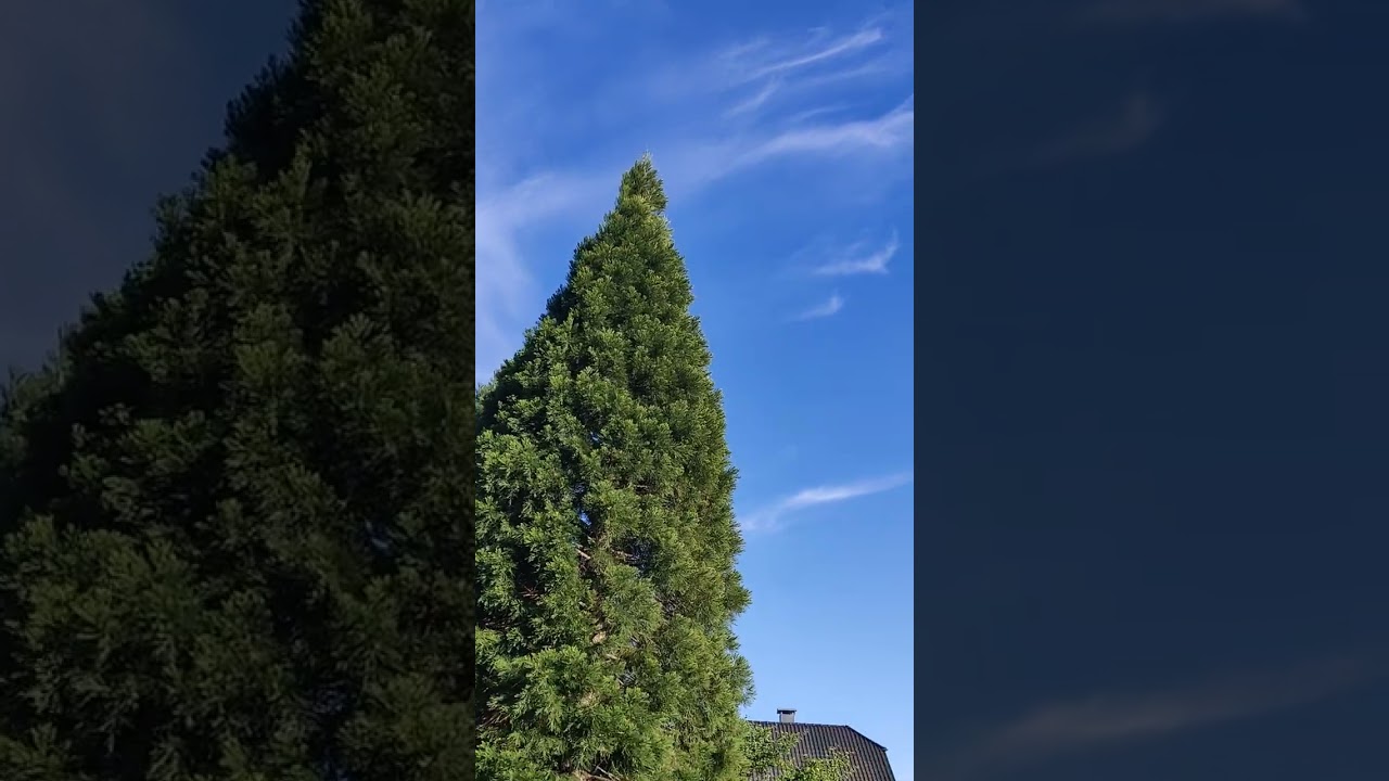 Chembuster in action