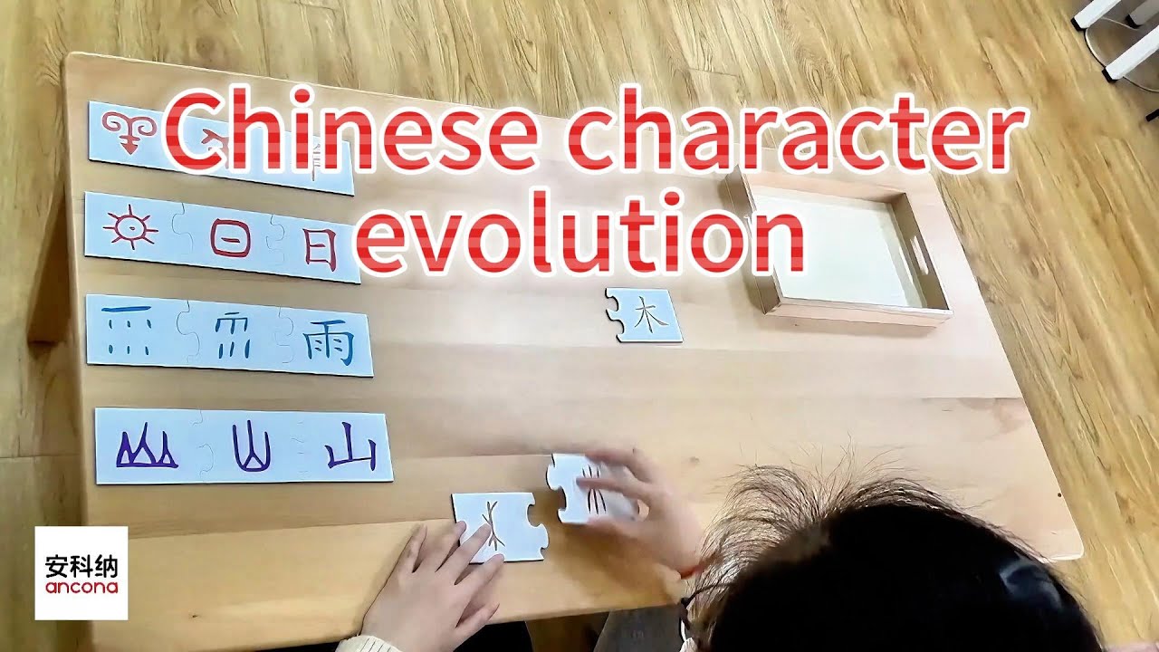 ancona Chinese character evolution