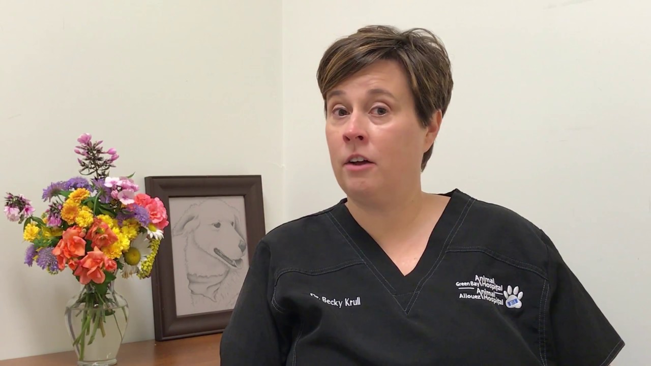 Homeward Bound InHome Euthanasia Service at Green Bay and Allouez