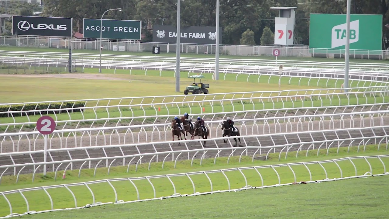 SECOND JUMP OUT SUCCESS FOR HEADWATER COLT