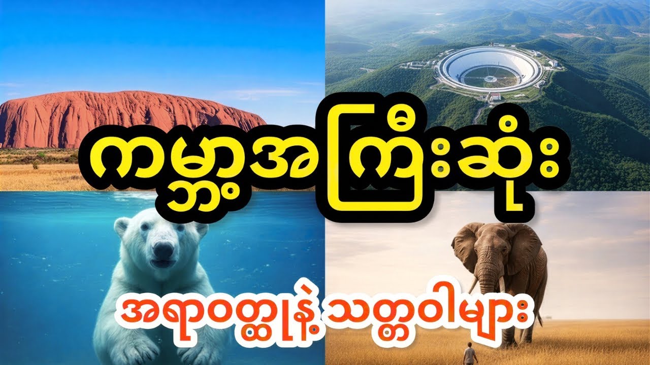 ကမ္ဘာ့အကြီးဆုံး အရာဝတ္ထုနဲ့ သတ္တဝါများ