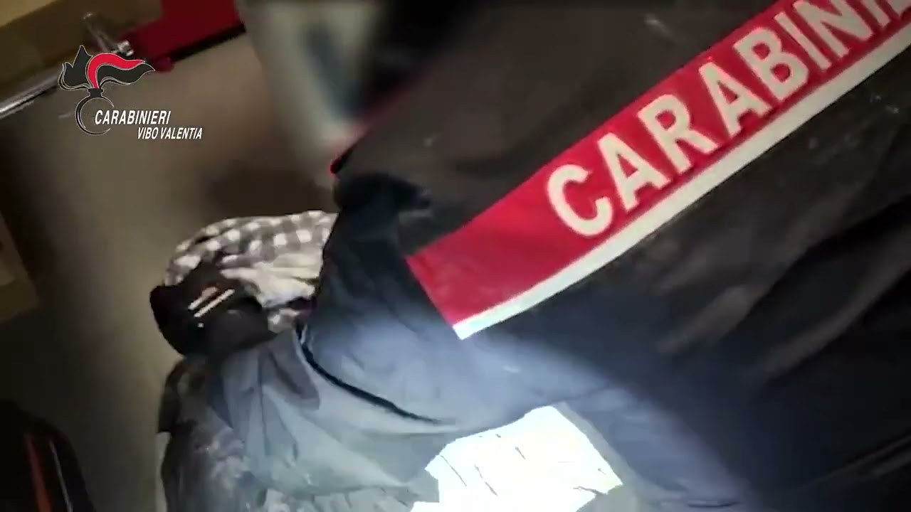 ‘Ndrangheta nel Vibonese, 81 arresti