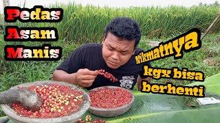 RUJAK BUNI BIKIN KETAGIHAN