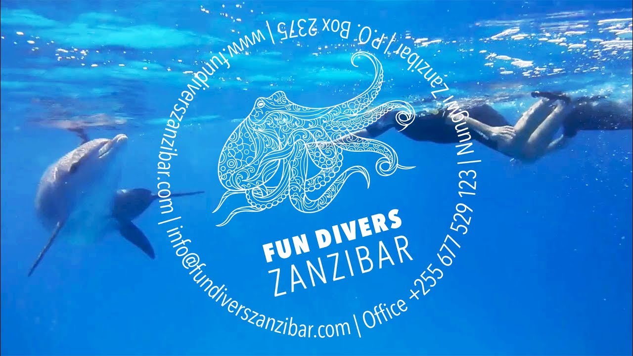 A Scuba Diving Marriage Proposal in Zanzibar