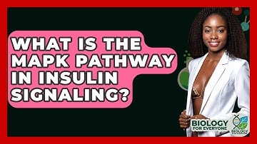 What Is The MAPK Pathway In Insulin Signaling? - Biology For Everyone