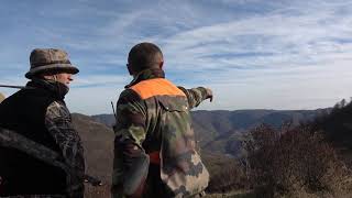 Akkuş Domuz Avi Wild Boar Hunting