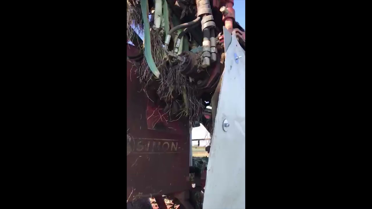 Greenshoots - Allpress Farms Top Lifting Harvest