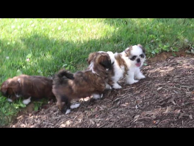 Mylie video thumbnail
