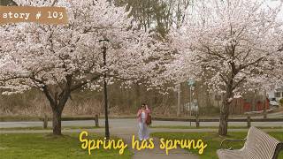 Slow And Quiet Spring Days  Prepping For The Balcony Garden  Relaxing Slow Living Silent Vlog