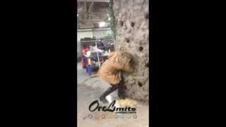 Off Limits Events - Jungle Experience - Wall of Terror