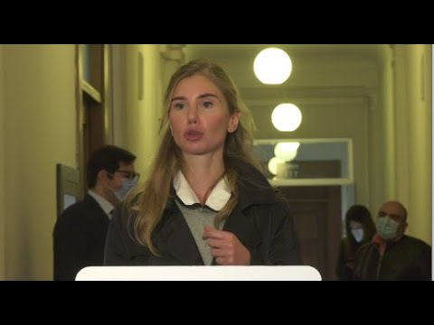 \"სააკაშვილი ჩამოვა, რომ  გახდეს პოლიტიკური პროცესის ნაწილი, ამას ვერ გადაწყვეტს ვერც ერთი ოლიგარქი“