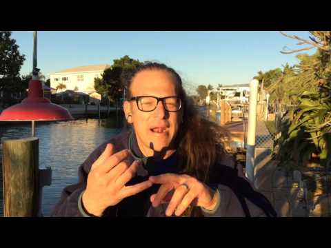 do-you-work-with-aggressive-&-shy/nervous-dogs