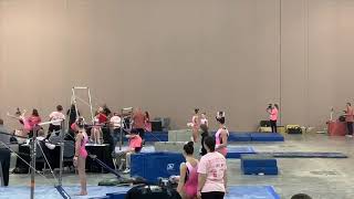 Pink Invitational 2/23/19