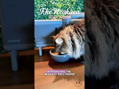 It hydrates the food⁉️ 🙀