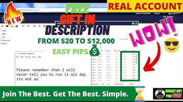 Binary Bot Real Account | Best Binary.com Strategy ! $20 - $12,000🤑
