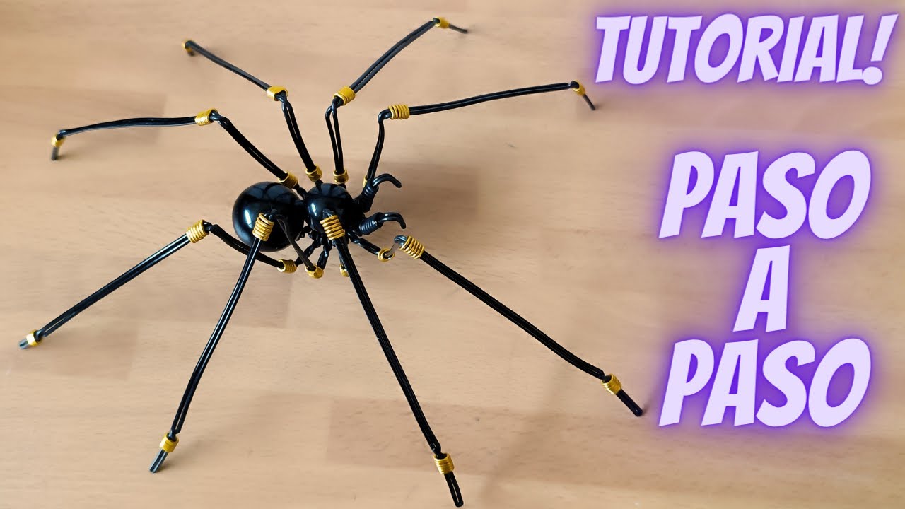 araña de patas largas alambrismo