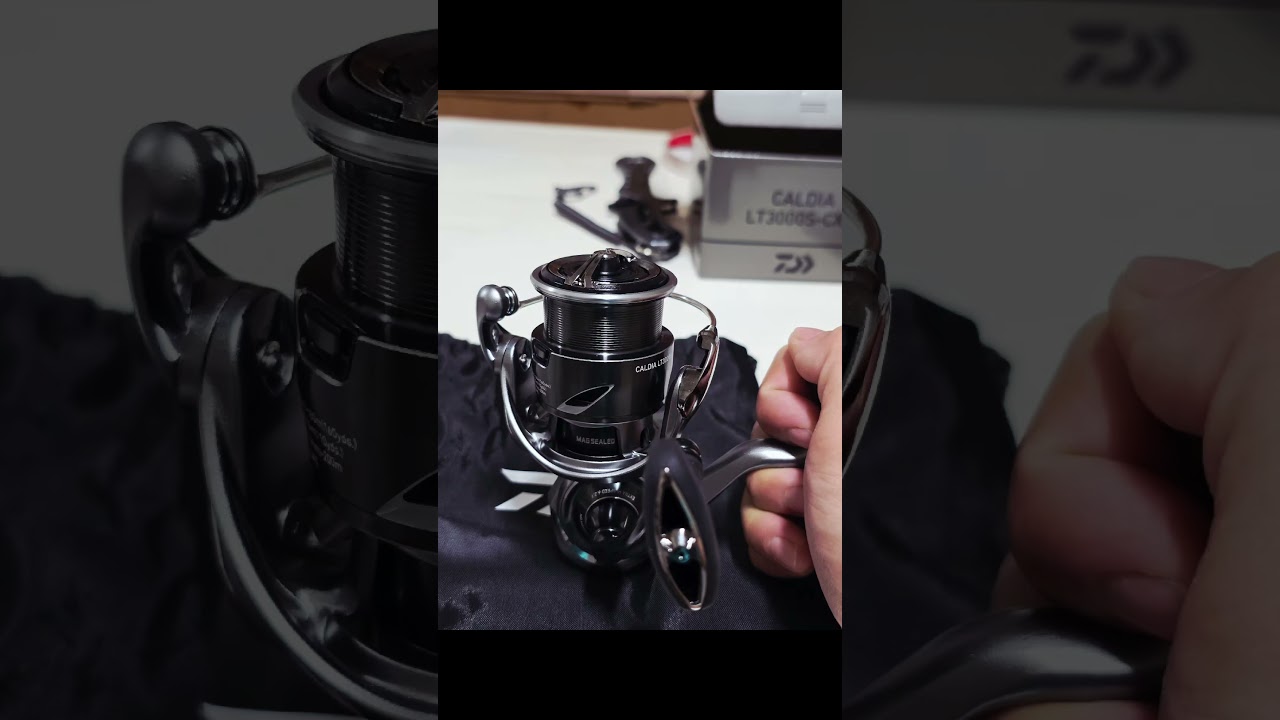 DAIWA CALDIA LT3000S-CXH 