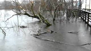 MVI_1629.AVI