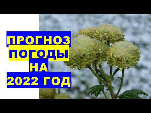 Прогноз погоды на 2022 год