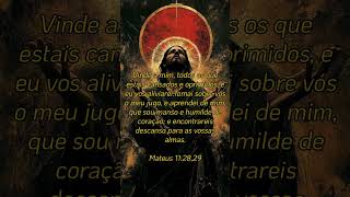 Mateus 11:28,29