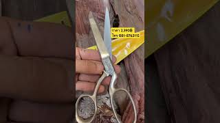 Genuine German-made Eye Brand scissors, 8 inches, from Solingen, Germany.
