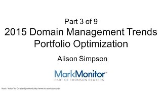 Domain Portfolio Optimization