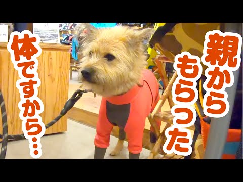 ピチピチの服を買ったら頭がでかくなってしまいました【アルファアイコン札幌】
