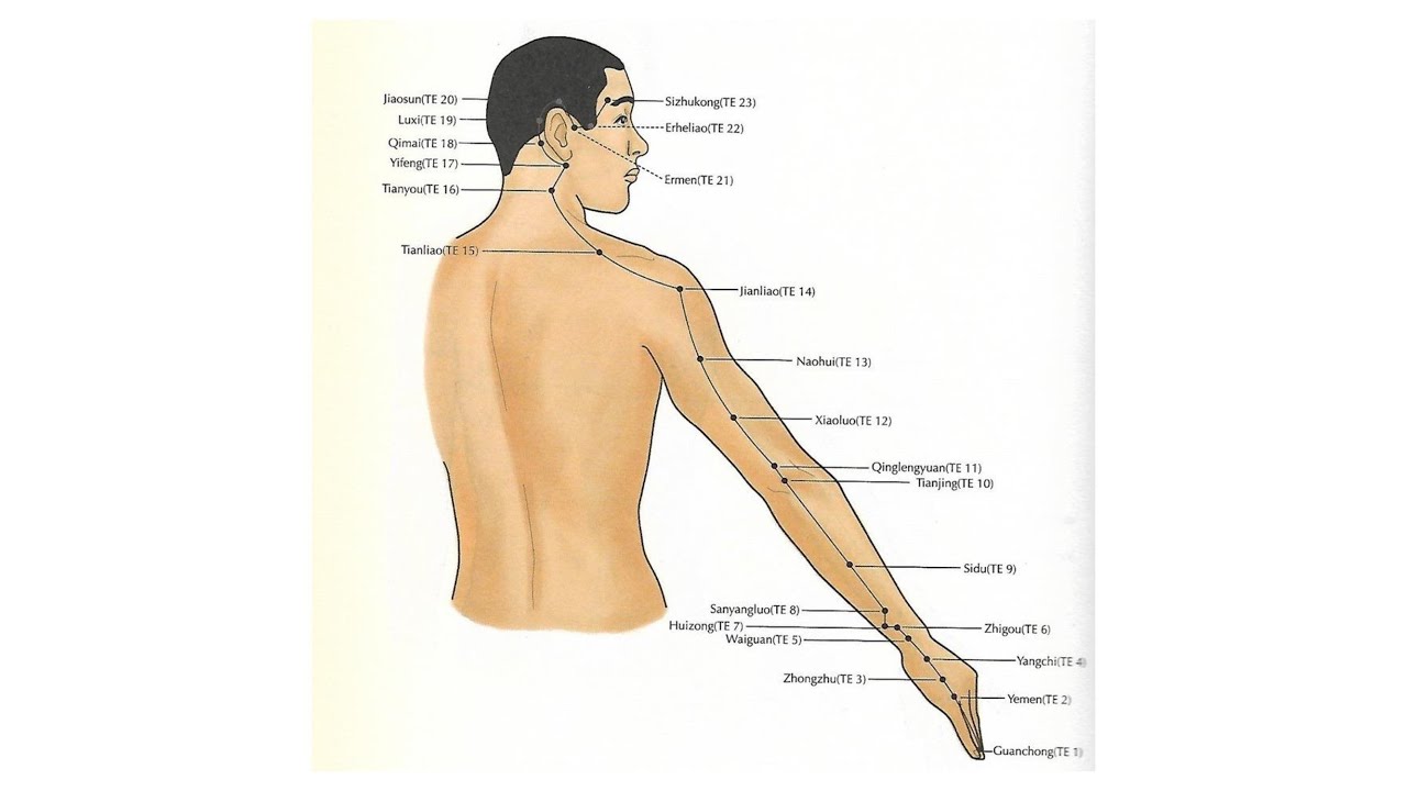 TRIPLE BURNER CHANNEL OF HAND SHAOYANG POINTS