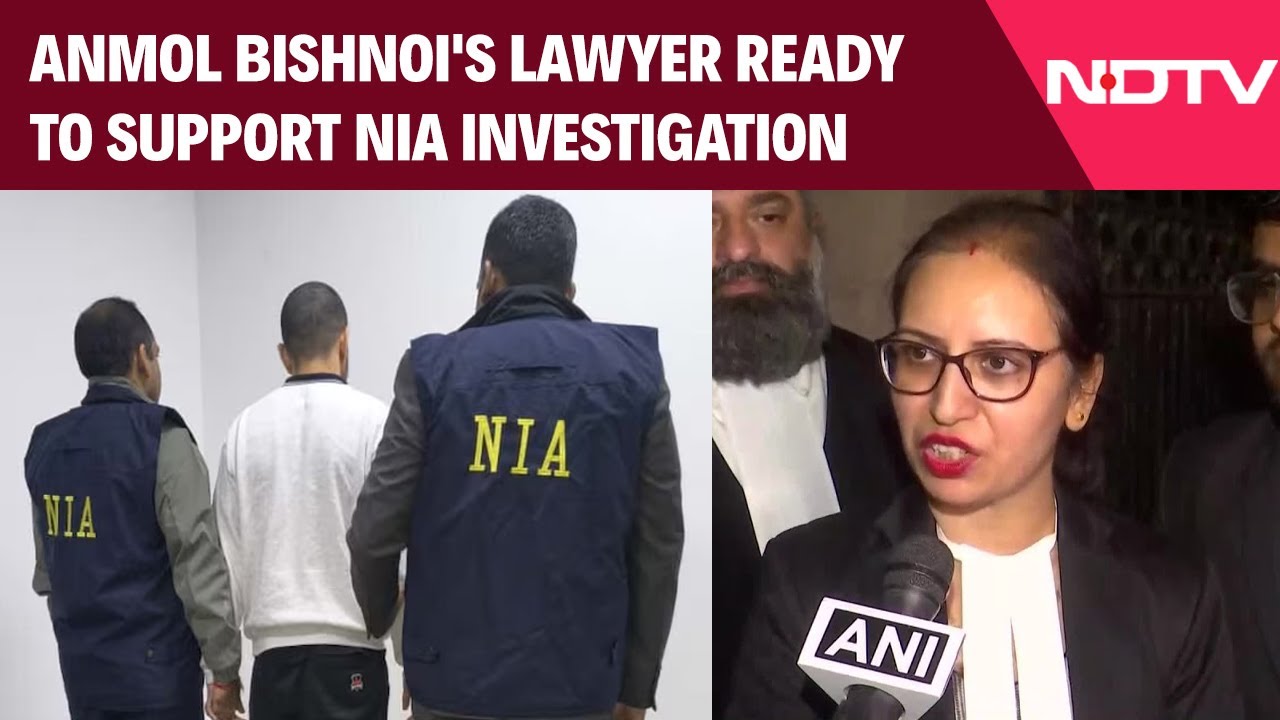 Bishnoi Gang News | Anmol Bishnoi's Lawyer Ready To Support NIA Investigation, Denies Terror Links