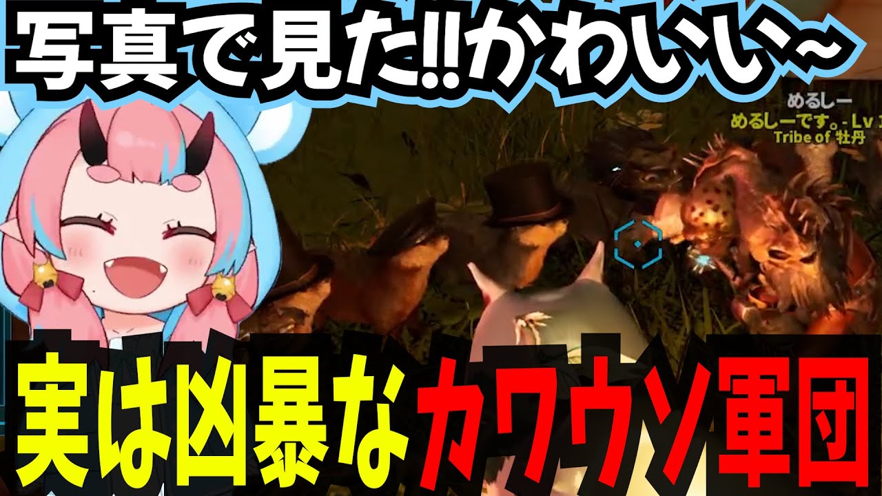 【ミドルアイランド】かわいいカワウソ軍団に会う..　しかし、実はこの子達凶暴なんです/23日目【鬼ヶ島ぴぃち/ARK/切り抜き】