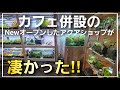 カフェ併設のNewオープンのアクアショップが凄かった‼ アクアプランツガーデンロータスさん aquarium アクアリウム 熱帯植物 熱帯魚 水草 流木 メダカ
