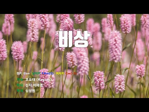 [은성 반주기] 비상 - 코요태(Koyote)