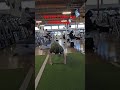 Best Push-up Challenge 661st Day #pushupchallenge #2026 pushup #Fullbodyworkout #push- up #푸쉬업챌린지