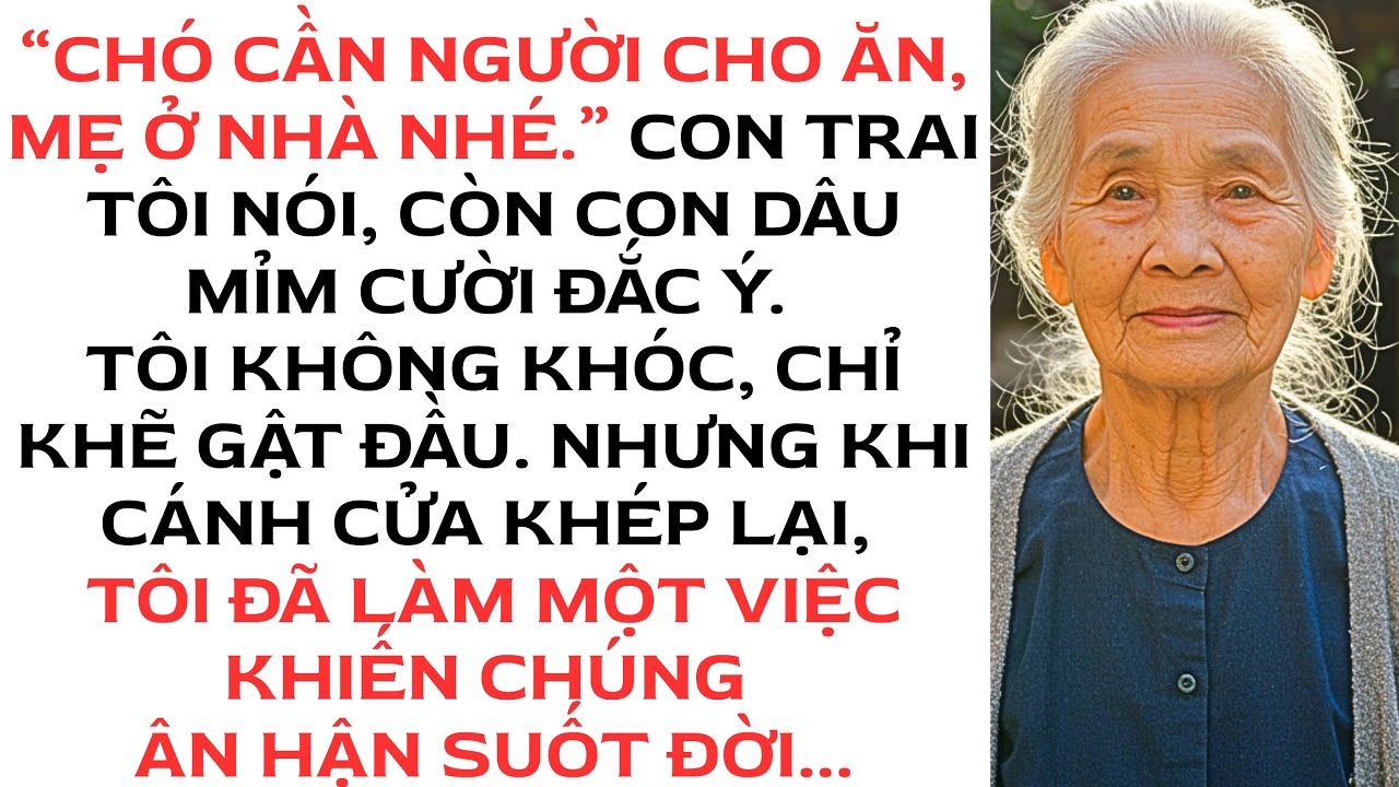 Cả nhà đi du lịch, con trai bắt tôi ở nhà với lí do: “Cần người cho chó ăn”…