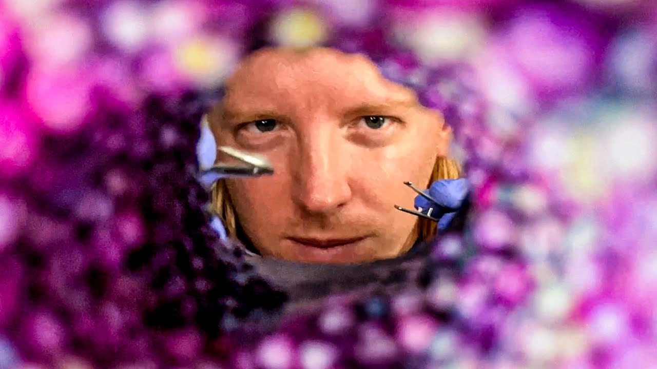 ASMR Getting Something Out Of Your Ears